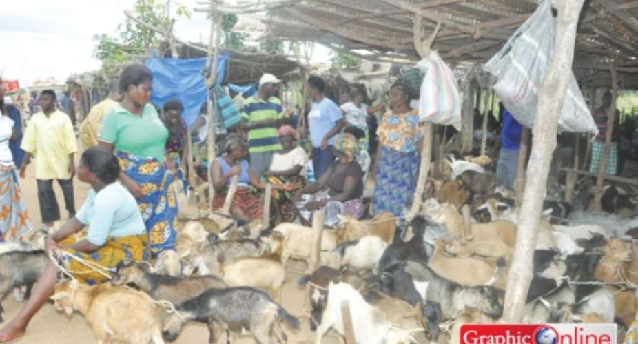 Women dominate livestock trade at Agbozume market
