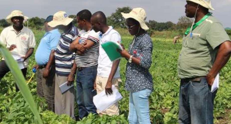 GhanaVeg organizes training for agronomists