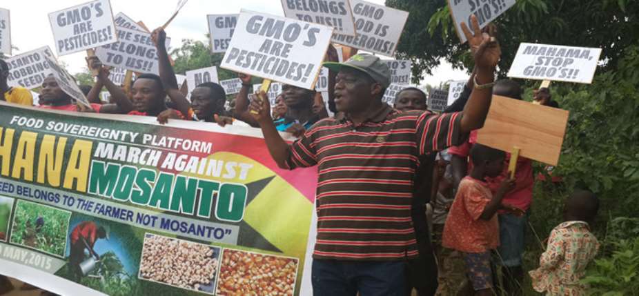 A Protest March Against The Introduction Of Genetically Modified Organism gmos By Farmer In Ghana.