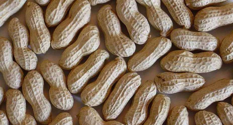 SLIGHT CHANGES IN GROUNDNUT EDIBLE PRICES
