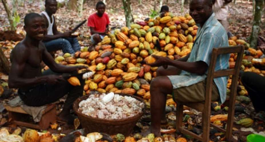 'Stop falsification of  cocoa weighing scales'