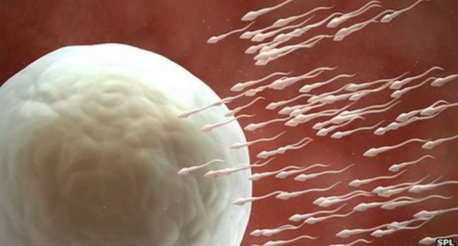 Scientists believe they are a step closer in the difficult journey towards developing a male contraceptive pill, after successful studies in mice.