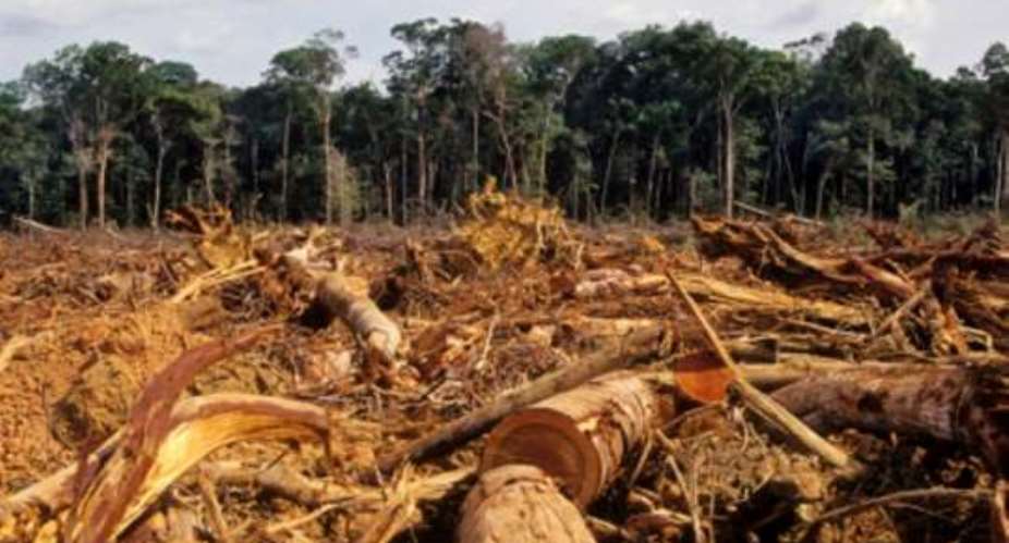 EU-FAO to step up efforts at combating illegal timber trade
