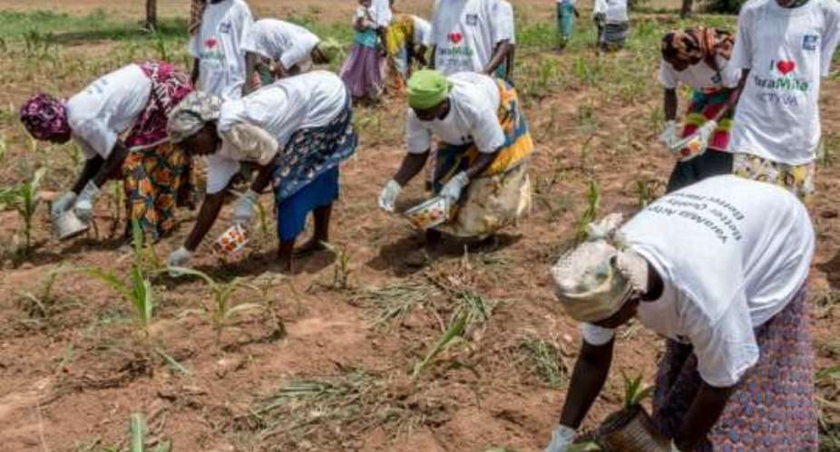 Smallholder farmers schooled on fertilizer application