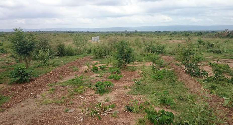 Ghana Bar Association pushes for land reforms