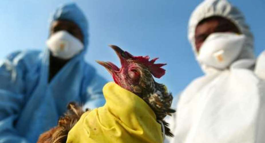 Eastern Region steps-up strategies to avoid Bird-flu Outbreak