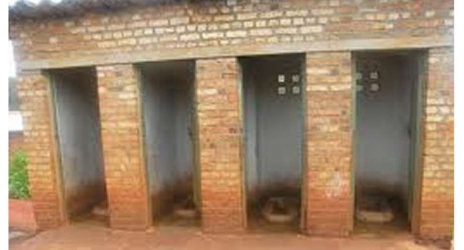 Public toilets not government priority - DCE