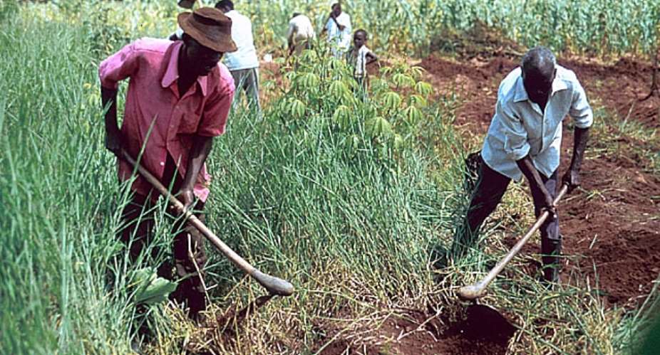 Anambra State Government To Absorb Over 5000 Youths In Agriculture