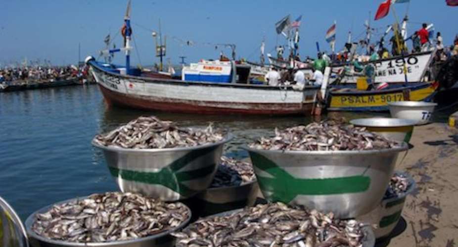 Ghana risks EU ban on fish – Fisheries Commission