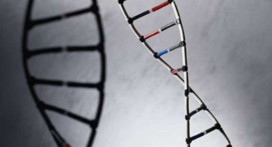 Genetic research reveals pieces of autism puzzle