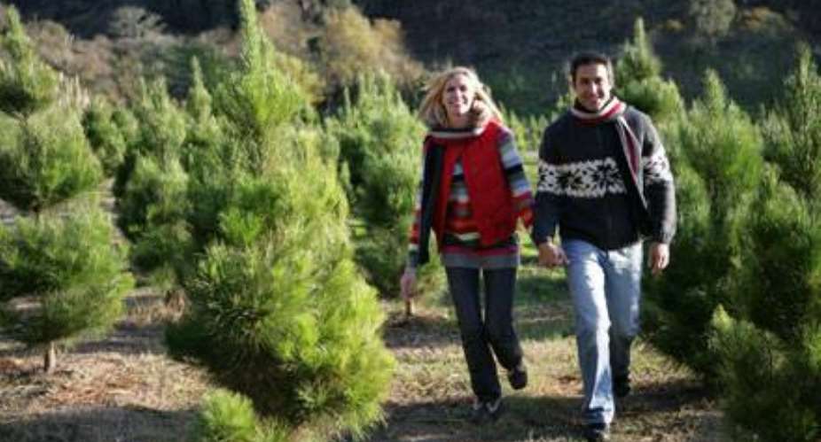 Top 10 tips for a healthier Christmas