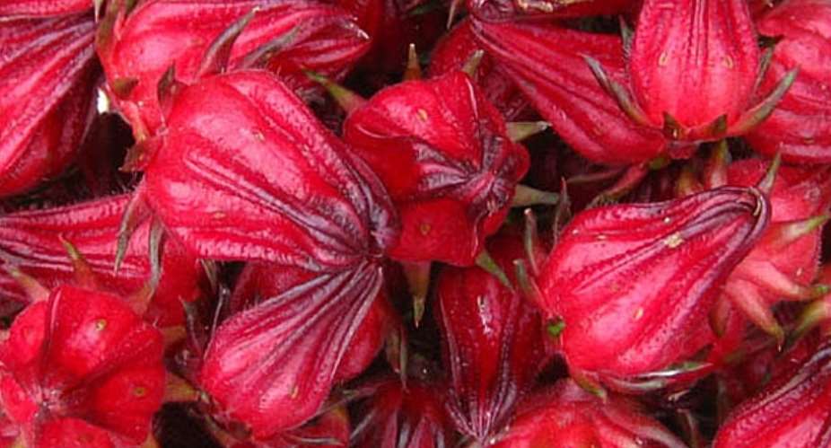 HEALTH BENEFITS OF ZOBO (ROSELLE OR HIBISCUS)