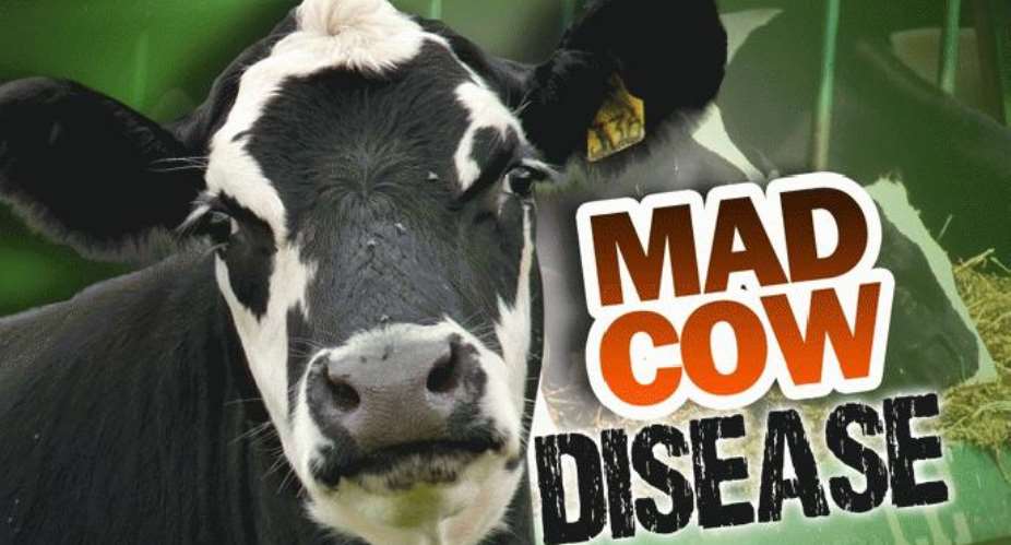 Mad cow disease found in Canada