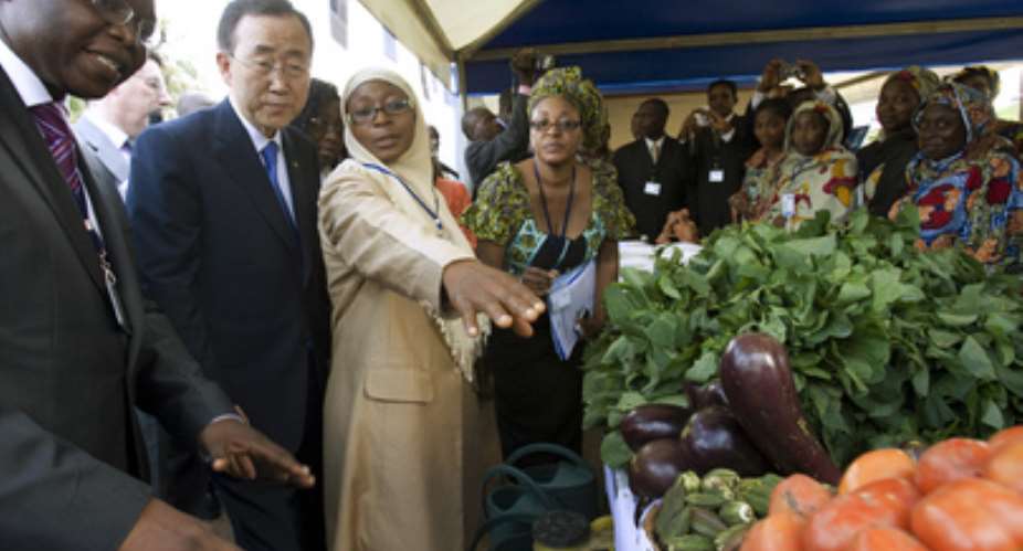 MDG 1: Eradicate Extreme Poverty And Hunger Sub-Saharan Africa Lags Behind