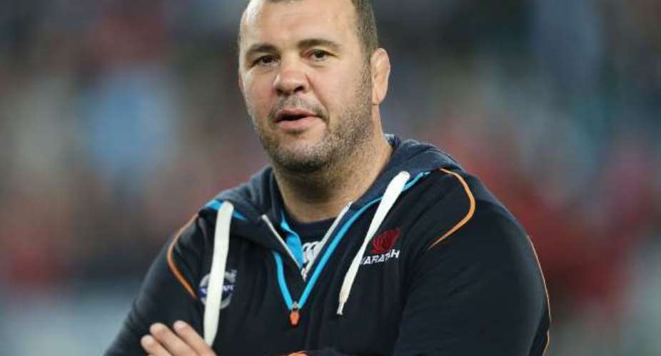 New man in charged: Michael Cheika named Wallabies coach