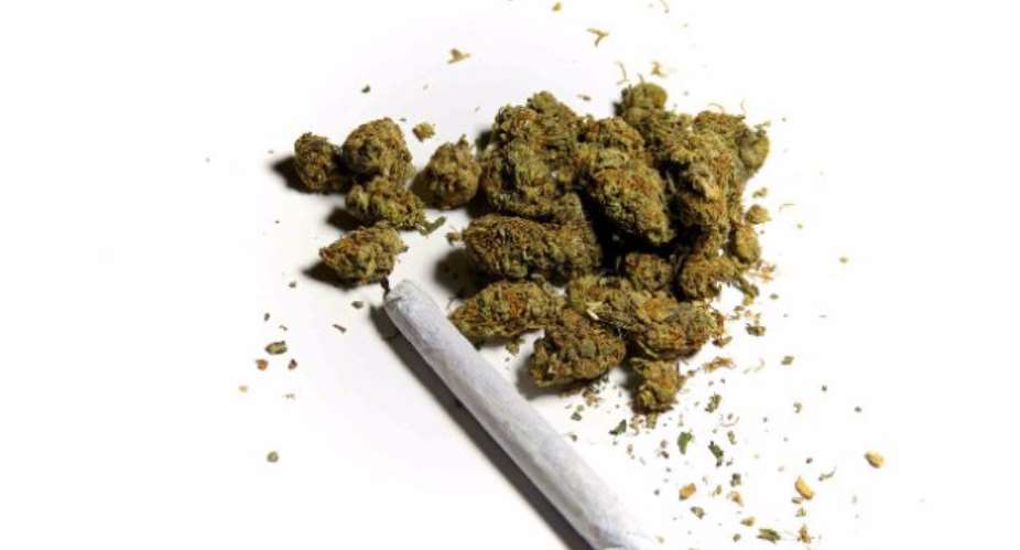 Drug policy consortium pressurise Ghana to decriminalize cannabis