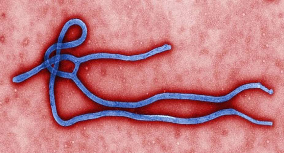 Govt Suspends Ebola Vaccine Trial