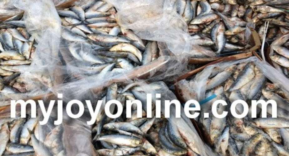 Health alert: Fishermen in Lower Axim use DDT for fishing