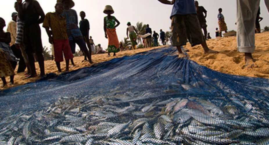 EU sanction looms over Ghana's fishing industry