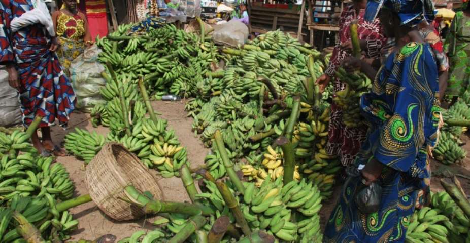 Ghana not importing plantain – Govt replies Nana Addo