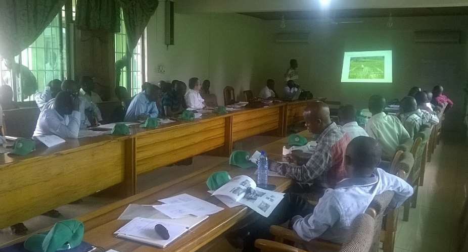 JICA To Scale Up Rice Project In The Ashanti And Northern Regions