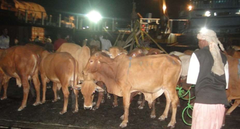 SOMESHA Delighted Somalia Expansion On Livestock Exports