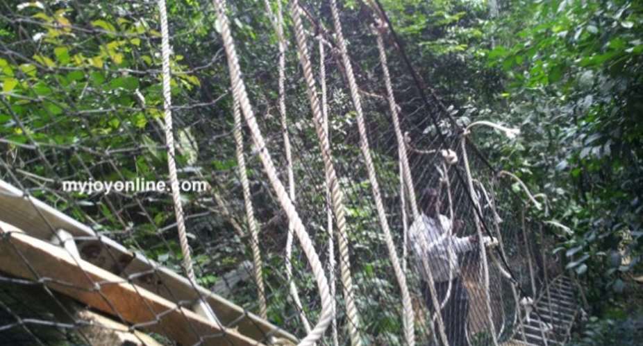 Bunso canopy walkway closed down