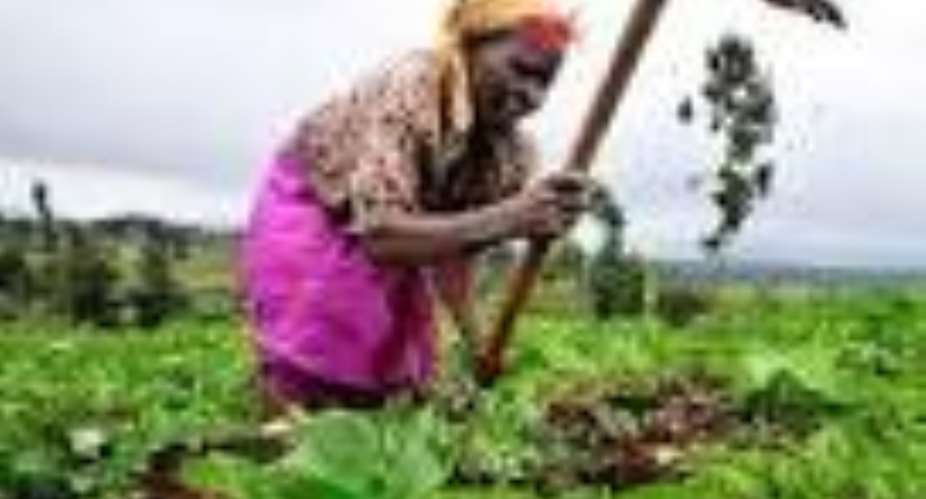 Ghana Ready To Shift To Market-Oriented Agriculture Economy