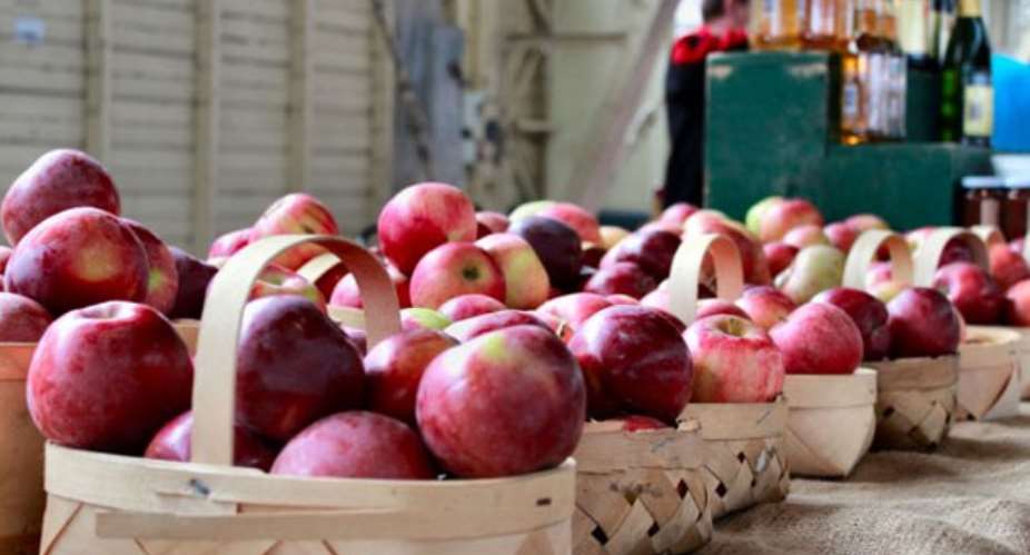 The Surprising Reasons to Eat an Apple a Day