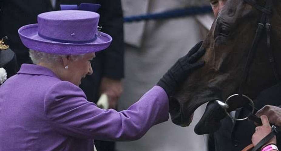Queen's horse Estimate tests positive for morphine