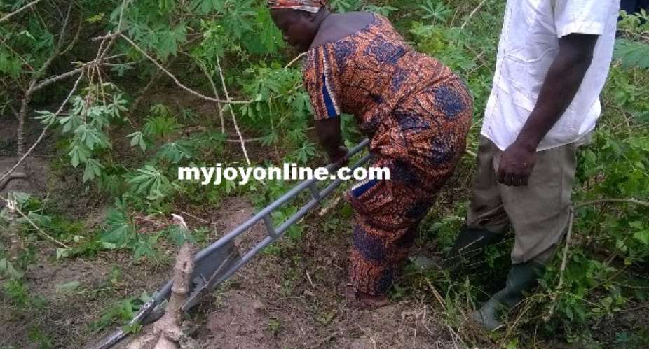 Crop Research invents cassava harvester