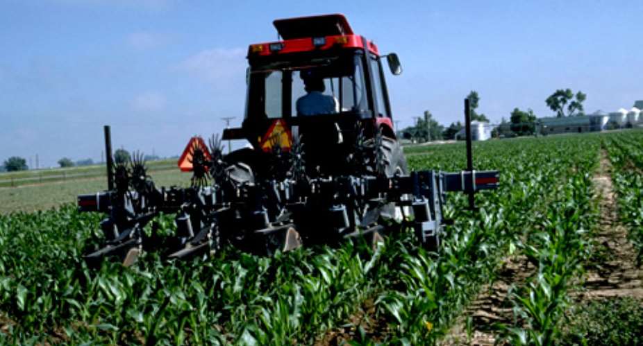 Agric Institutions to undergo training on vegetable production technologies
