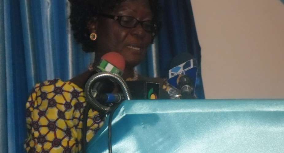 CDM making strides in public service delivery - Mrs Katsriku