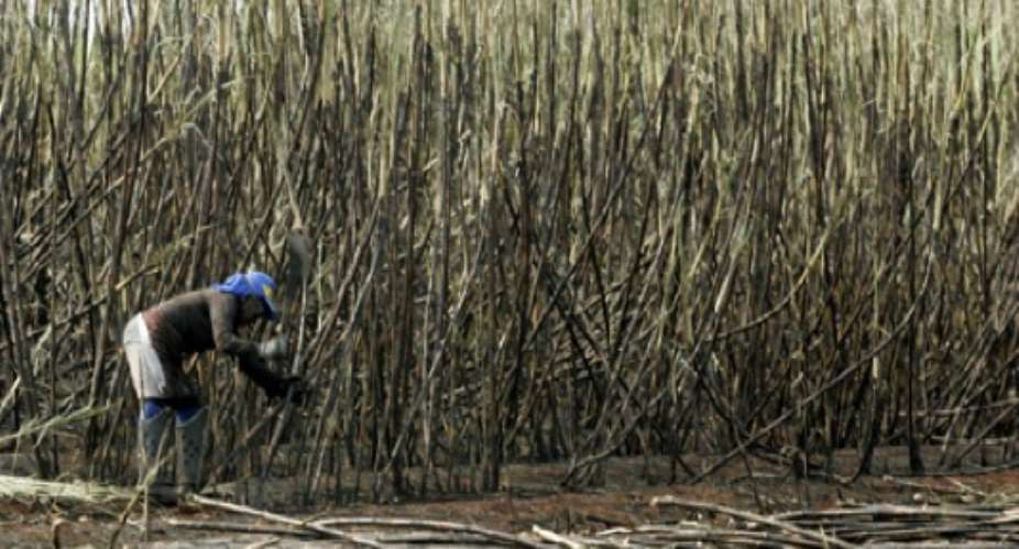 Bio Fuel: Group Condemns Land Grab In Africa