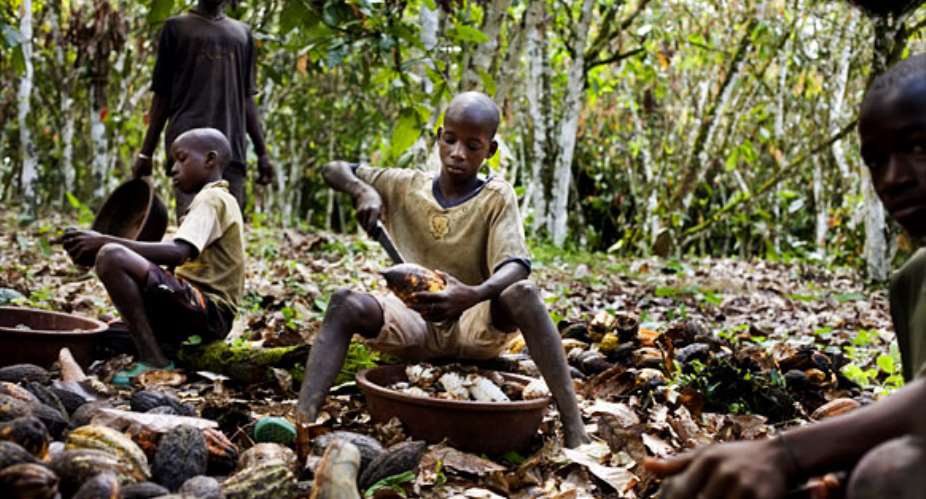 Child labour cocoa