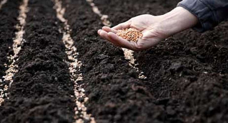 sowing seed