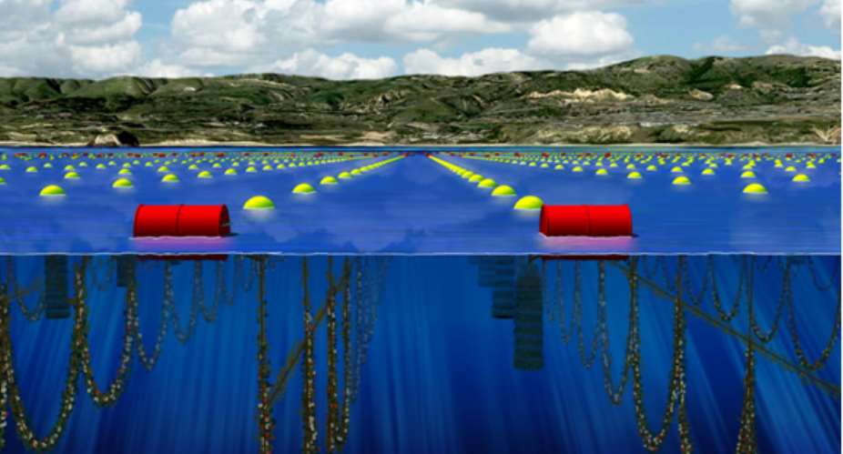 Sustainable Shellfish Aquaculture For the Gulf of Guinea