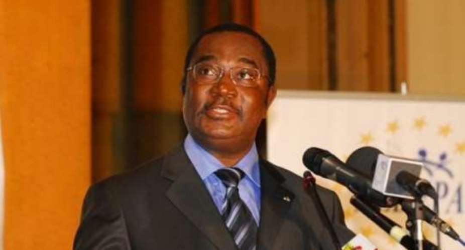 Togo making democratic gains - Prime Minister