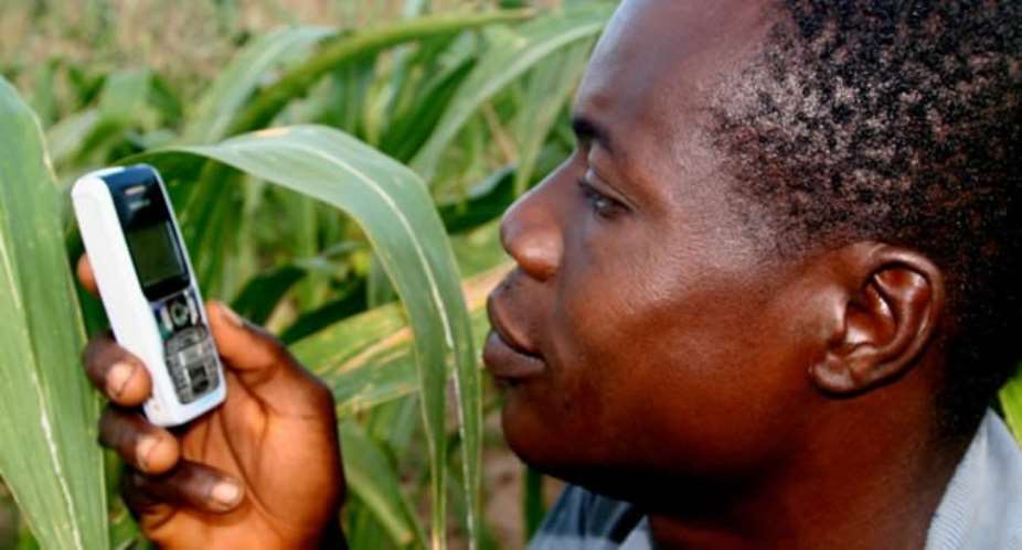 Ghana's Electronic Agriculture: A flagship program of the World Bank