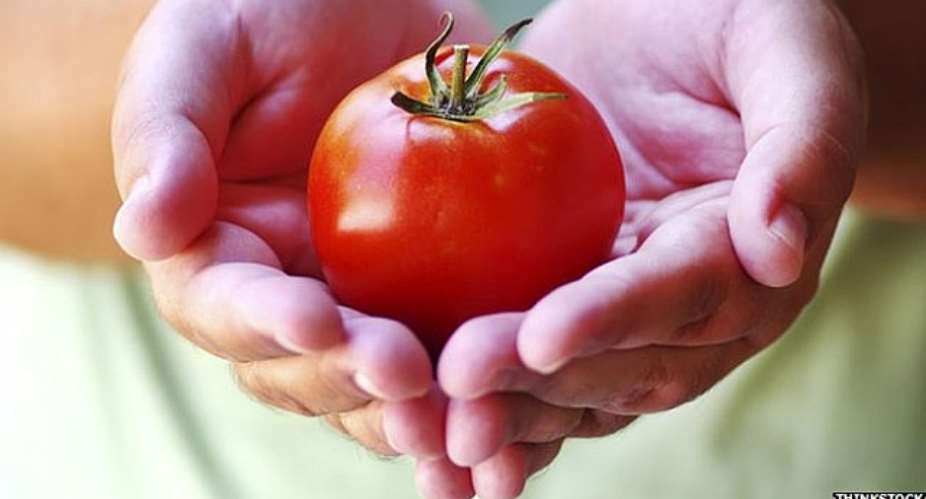 Tomatoes importation