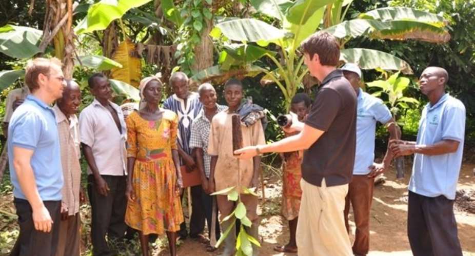 Tree Global distributes cocoa seedlings to farmers