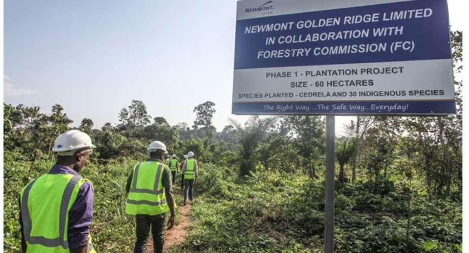 Newmont Ghana embarks on massive reforestation programme