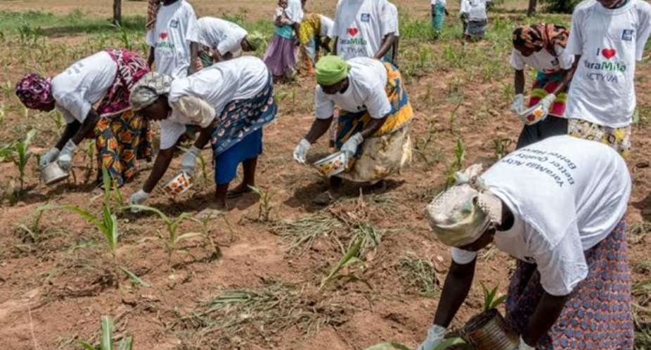 Smallholder farmers schooled on fertilizer application