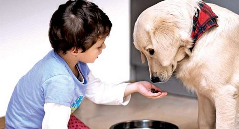 5 Human Foods You Should Be Feeding Your Pet