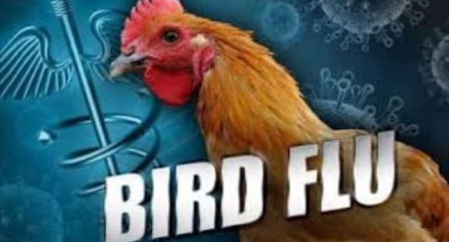 Media urged to create awareness on bird flu outbreak