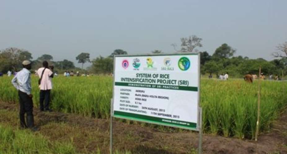 Rice farmers need power tillers-Govt told