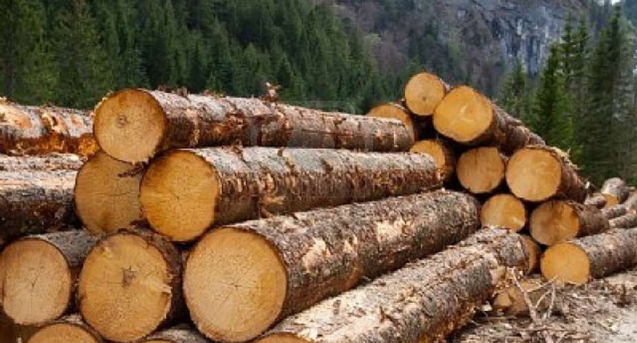 Consolidate Sir Johns Gains—Domestic Timber Traders Urge New Forestry Boss