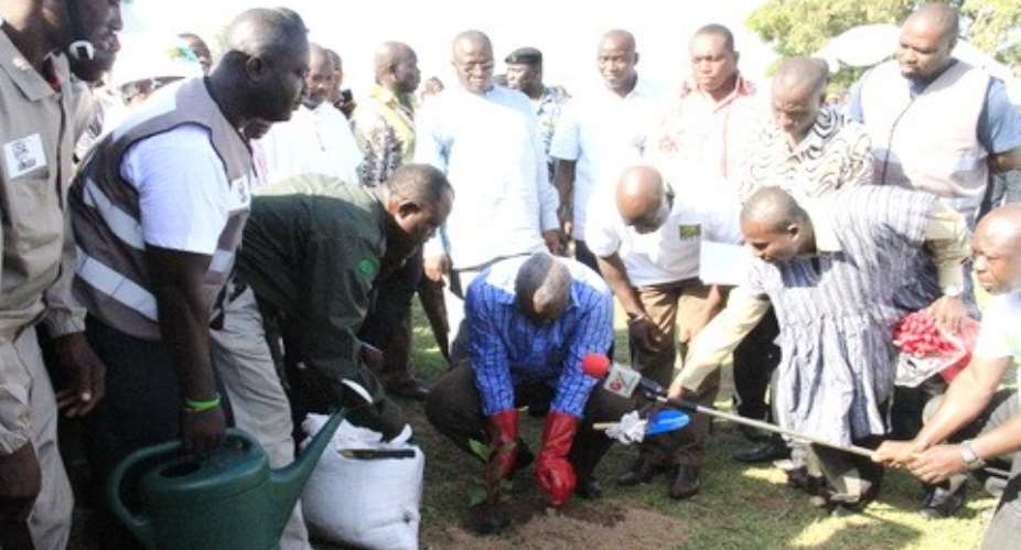 The Vice President planting a tree to launch the project