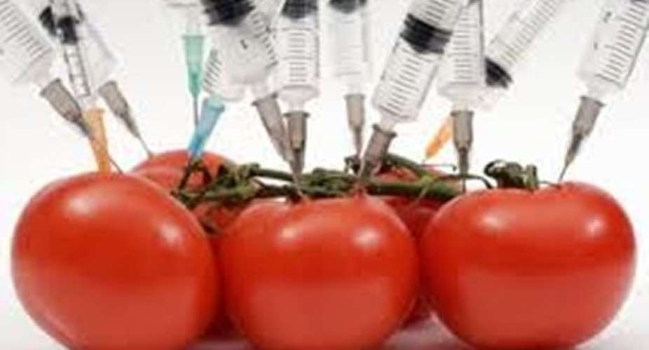 Gov't sued over GMOs