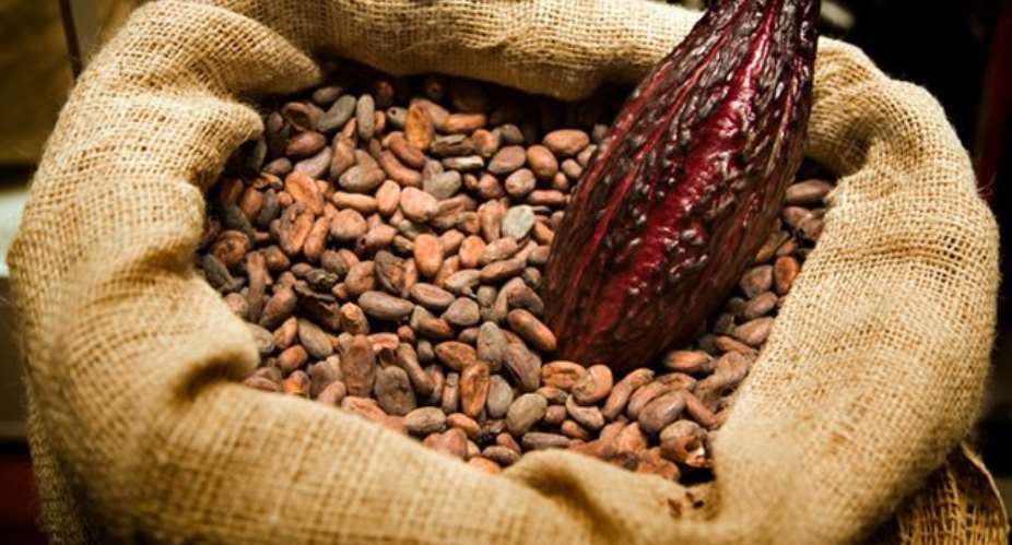 Police intercept truckload of stolen cocoa beans